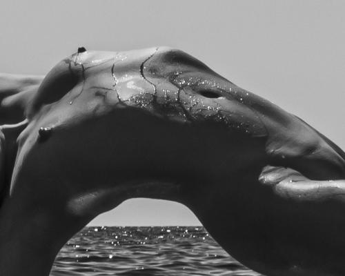 Mujer-desnuda-artistica