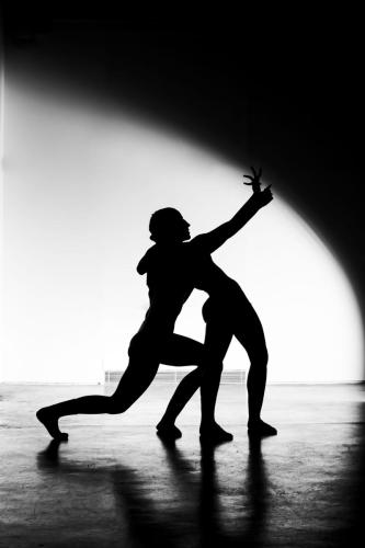 Sombra-de-danza-artistica