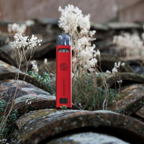 Vaper-en-la-naturaleza