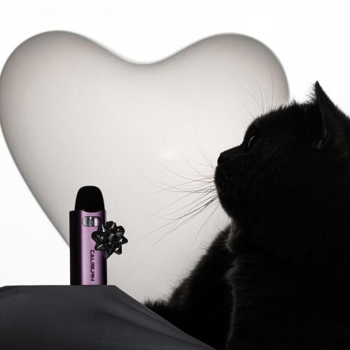 Vaper-y-gato
